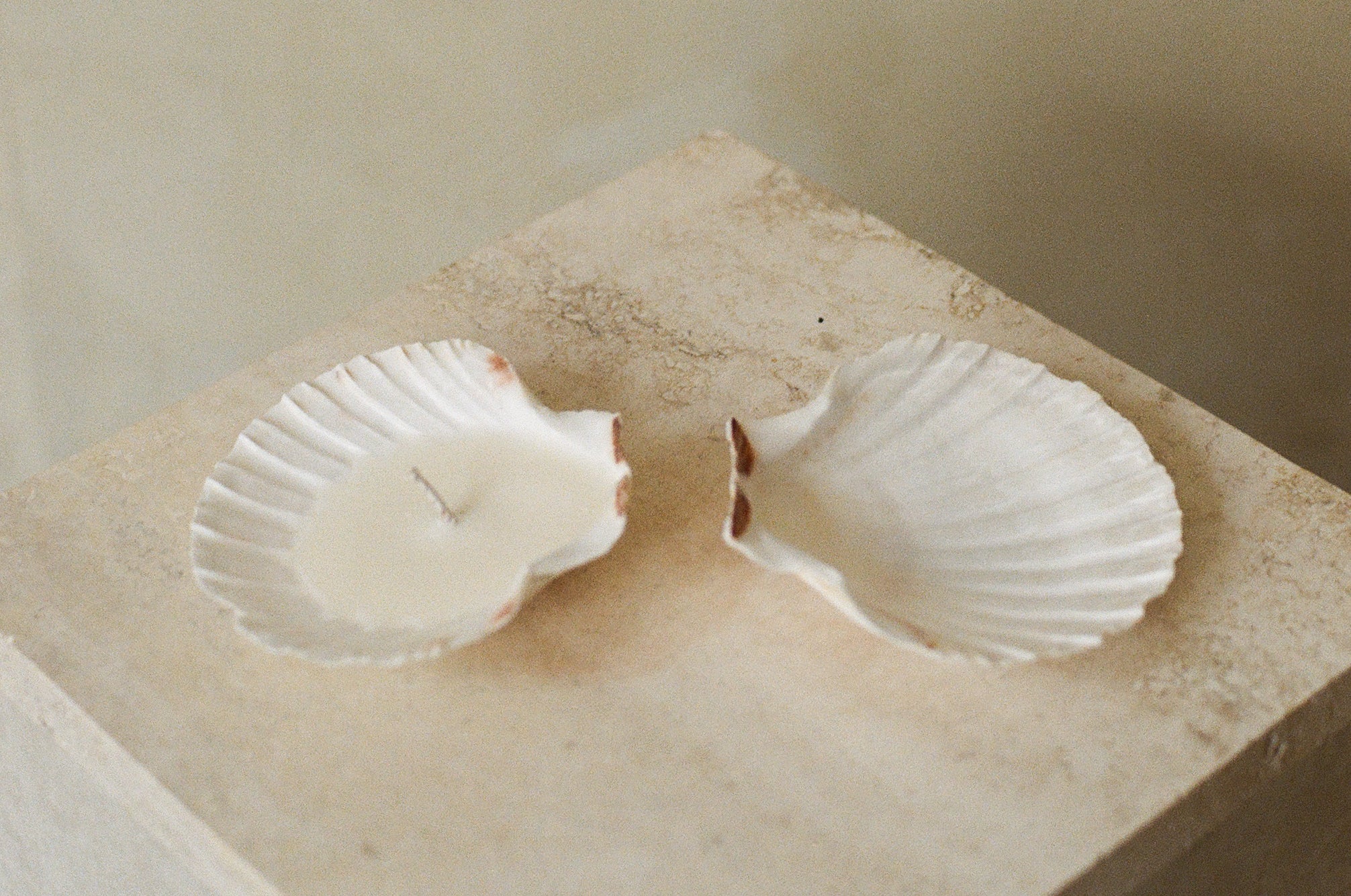 Seashell Candle - Single Wick