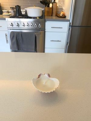 Mini Seashell Candle
